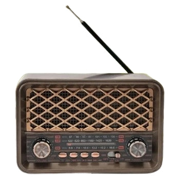 RADIO HR-31BTLS