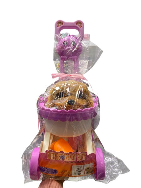 PELUCHE EN COCHE A2503-2619