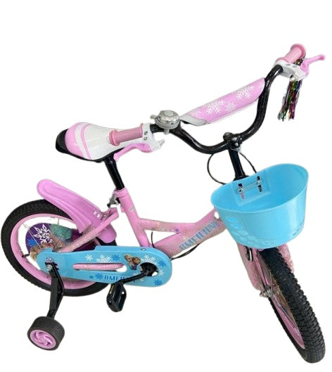 BICICLETA A2503-2246