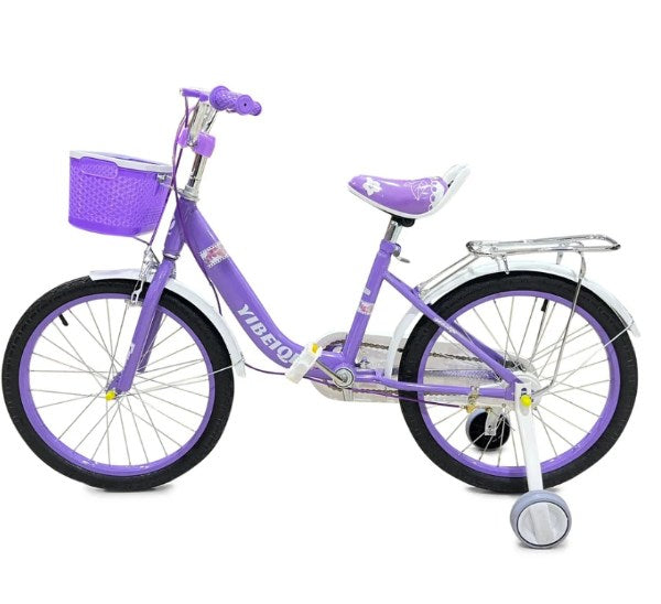 BICICLETA A2503-2249