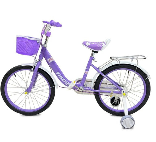 BICICLETA A2503-2249
