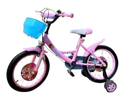 BICICLETA A2505-2